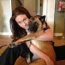The Pampered Pooch - Dog & Cat Grooming & Supplies