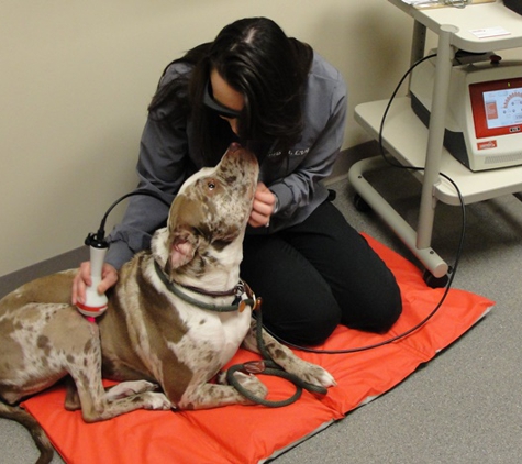 VCA Portage Animal Hospital - Portage, MI