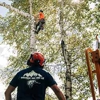 Northwest Tree Care gallery
