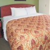 Quality Inn & Suites gallery