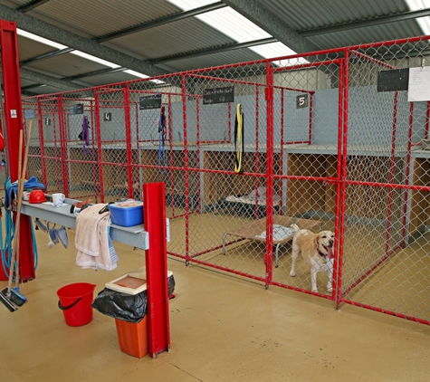 Peninsula Boarding Kennels - Moolap, VIC
