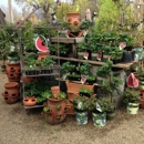 Main Street Nursery - Nurseries-Plants & Trees