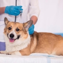 Spencer Animal Hospital