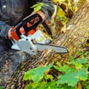 Treecycle - Tree Service