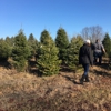 Western's Tree Farm gallery