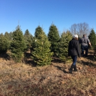 Western's Tree Farm