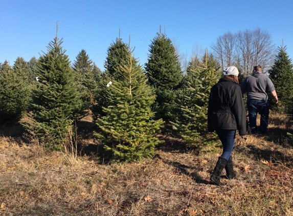 Western's Tree Farm - Applegate, MI