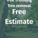 Tree Top Services