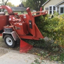 Tree Service Minneapolis - Tree Service