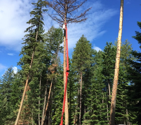 Oliver Tree Service, LLC - Clark Fork, ID