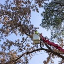 Kelley Tree Service