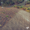 SAFE Roof Cleaning Moss Removal - Roof Cleaning