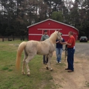 Palmetto Veterinary Medicine & Surgery