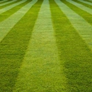 Ace Lawn Service - Landscaping & Lawn Services