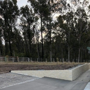 Gallery Image Number 4