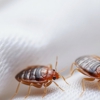 Country Pest Control gallery