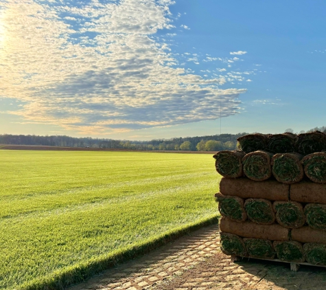 Ironbridge Sod Farms - Bowling Green, KY