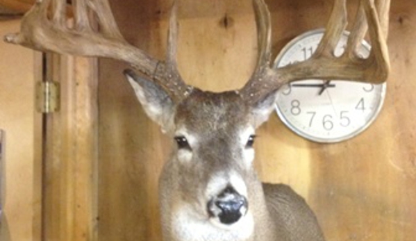 Darrell's Taxidermy - New Baltimore, MI