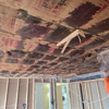 First Response Restoration gallery