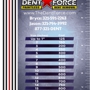 Dent Force- Paintless Dent Repair