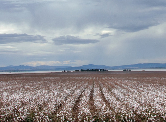 Agripath Pty Ltd - Tamworth, NSW