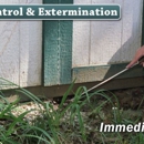 Bruce's Pest Control - Bee Control & Removal Service