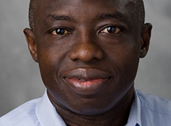 Fatoki, Adeyemi O, MD - Ottawa, IL