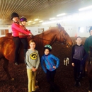 Louw Stables, LLC - Horse Training