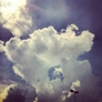 Photo #01