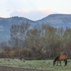 Rainbow Trout Ranch gallery