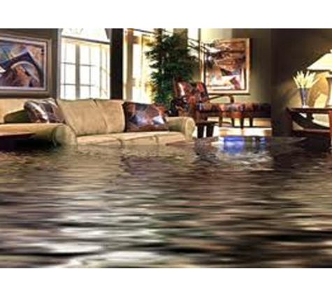 Affordable Carpet Cleaning