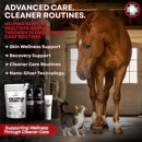 SilverVet