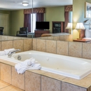 Quality Inn & Suites Ann Arbor Hwy 23 - Motels