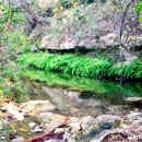 Wild Basin Wilderness Preserve - Parks