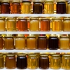 Honey Source gallery