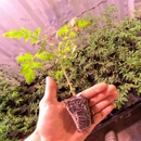 Bella's Farm Supply - Farming Service
