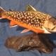 Fish Art Taxidermy