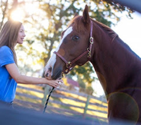 Carolina Equine Hospital - Browns Summit, NC