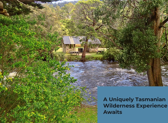 Russell Falls Holiday Cottages - National Park, TAS. A Uniquely Tasmanian Wilderness Experience Awaits