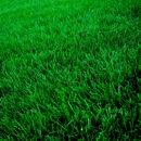 Davis Mowing LLC - Landscaping & Lawn Services