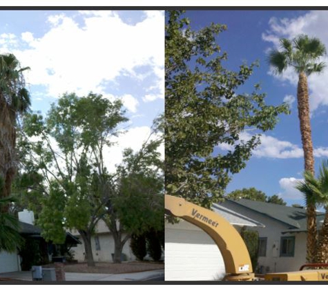 Henrie Tree Service