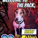 Alan's K9 Academy - Dog Training