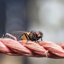 Priority Pest and Termite - Pest Control Equipment & Supplies