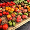 Minneapolis Farmers Market gallery