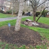 Kener Landscaping gallery