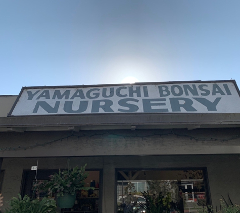 Yamaguchi Bonsai Nursery - Los Angeles, CA