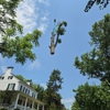 Blue Mountain Arbor gallery