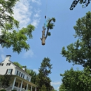 Blue Mountain Arbor - Arborists