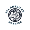 All American Washpro gallery