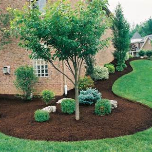 K & K Lawn & Shrub Services Inc - Harper Woods, MI